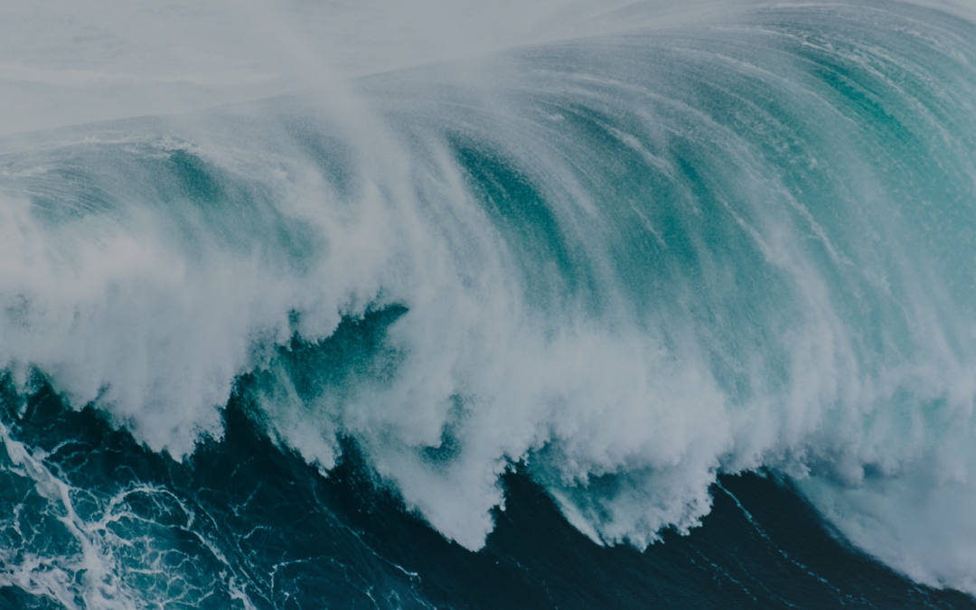 FuelEU Maritime Regulation Demands Urgent Action for Compliance by 2030